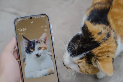 Vesper Casino Mobilna aplikacija